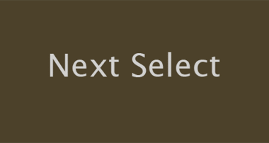 NEXT SELECT KS GOLD
